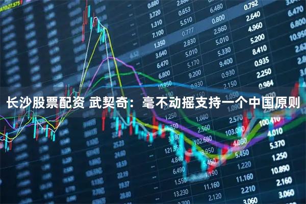 长沙股票配资 武契奇：毫不动摇支持一个中国原则