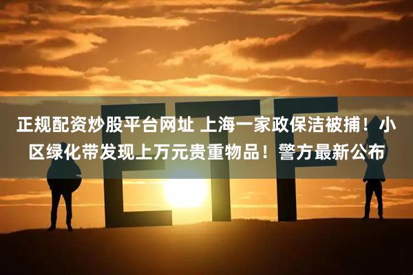 正规配资炒股平台网址 上海一家政保洁被捕！小区绿化带发现上万元贵重物品！警方最新公布
